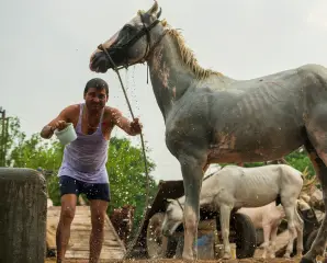 Anh Trần Văn Lợi