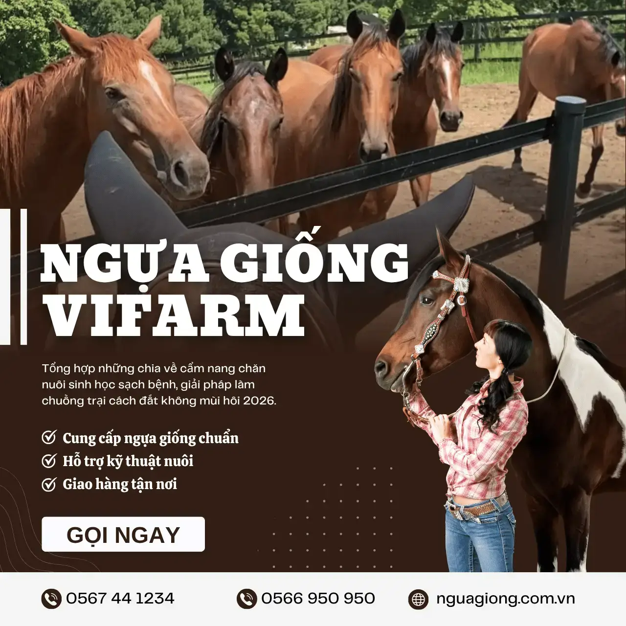 Cộng đồng người yêu ngựa Vifarm - Hơn cả một khách hàng